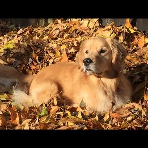 Meet your Posher, Carole